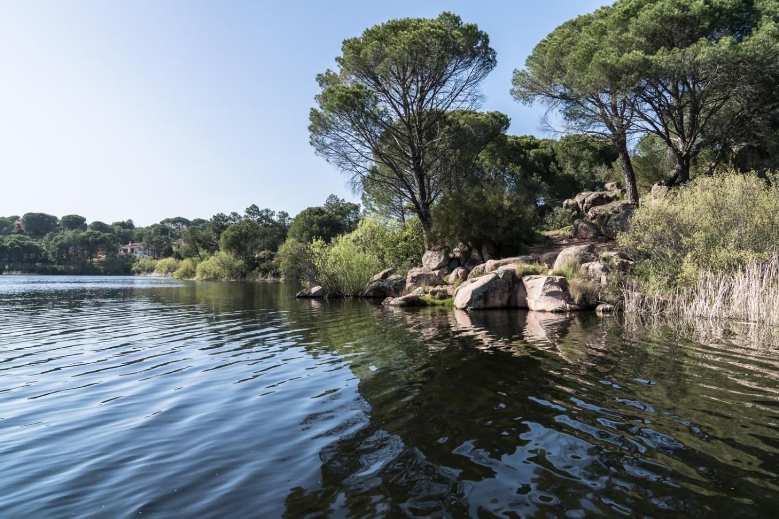Casa El Lago Alojamiento Rural Las Jaras Eksteriør bilde